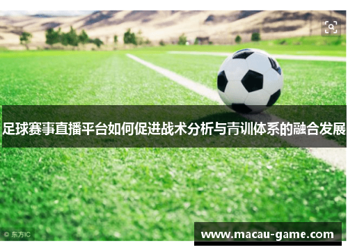 足球赛事直播平台如何促进战术分析与青训体系的融合发展